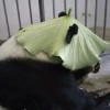用户83512595的头像-七玩网