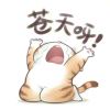 捏碎仙贝⌓