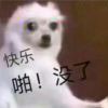 Y_916
