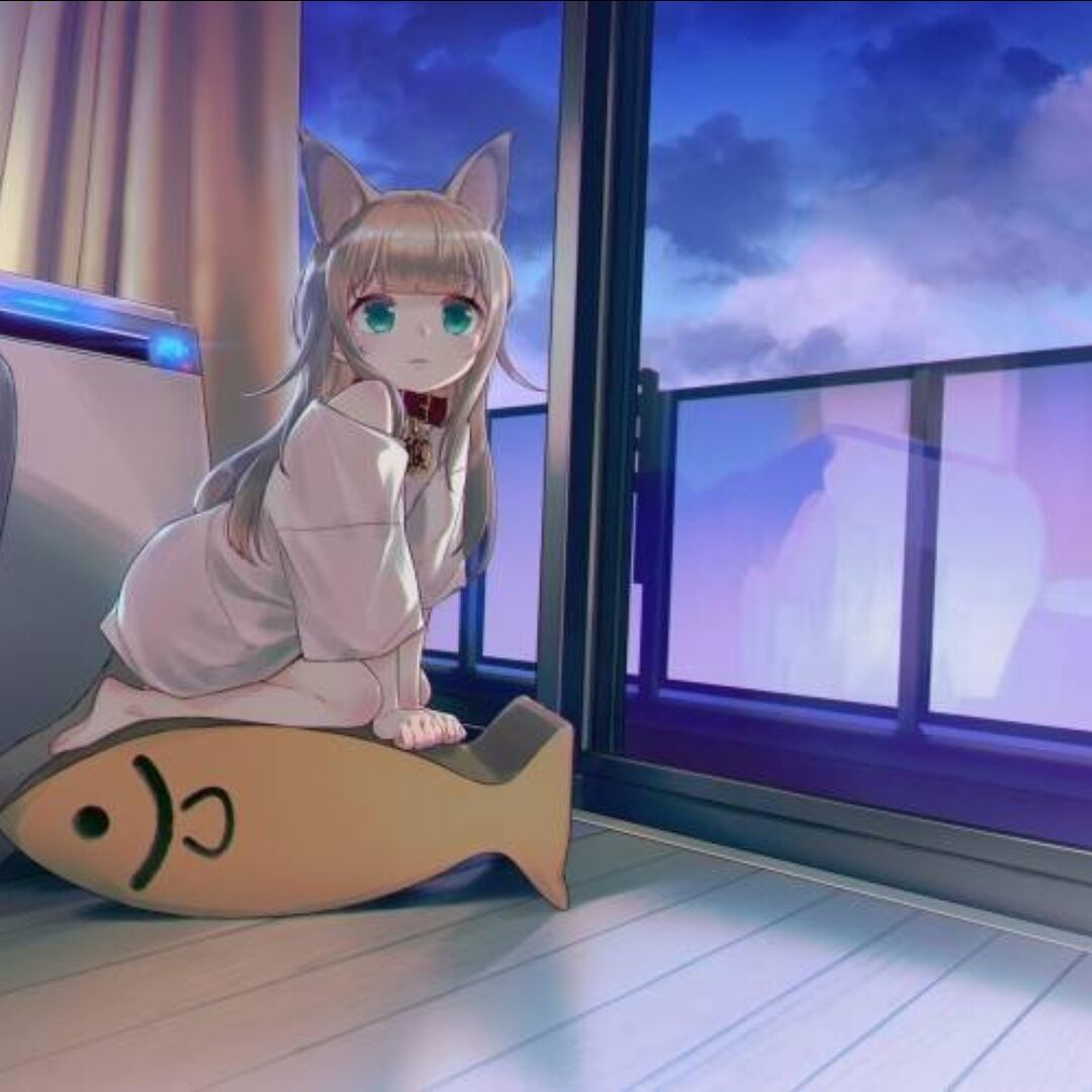 星畲喵~
