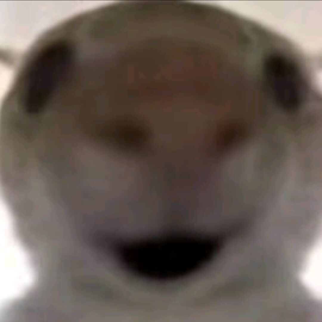 刁铭杰