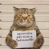 心？荒