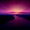 Lemon_690