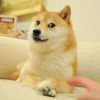 顺自然
