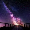 ～(￣▽￣～)~的头像-洛洛资源库