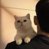 千顺顺的猫纸的头像-【TITAIKE】T太科网