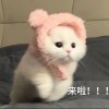 老婆