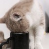 用户49858761的头像-iPA资源站
