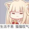 小戴