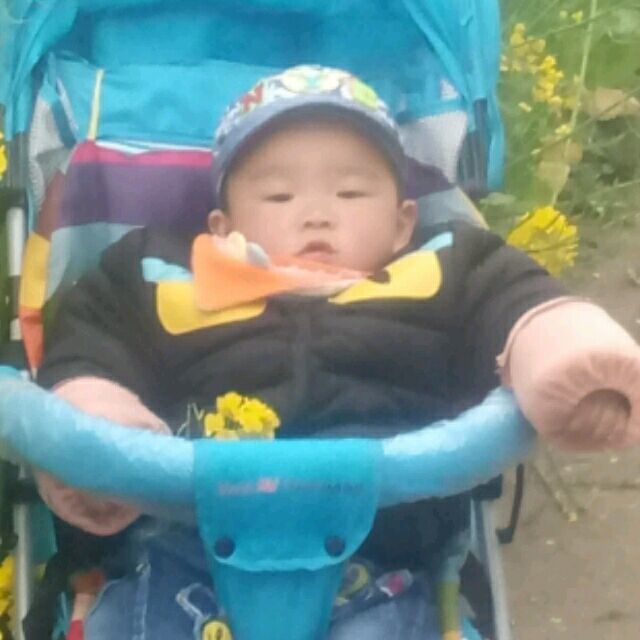 松鼠/yb