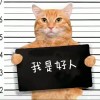 迷你剧的散场
