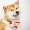 user6792