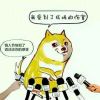 无心_269