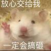 忧郁的猫的头像 - 极核GetShell