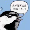 路过812的头像-魔酷网