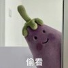 泽笙