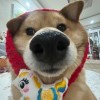 yhn_108