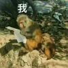 赵无眠