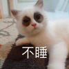 用户45933330的头像-iPA资源站