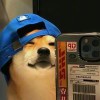 czw666的头像 - 极核GetShell