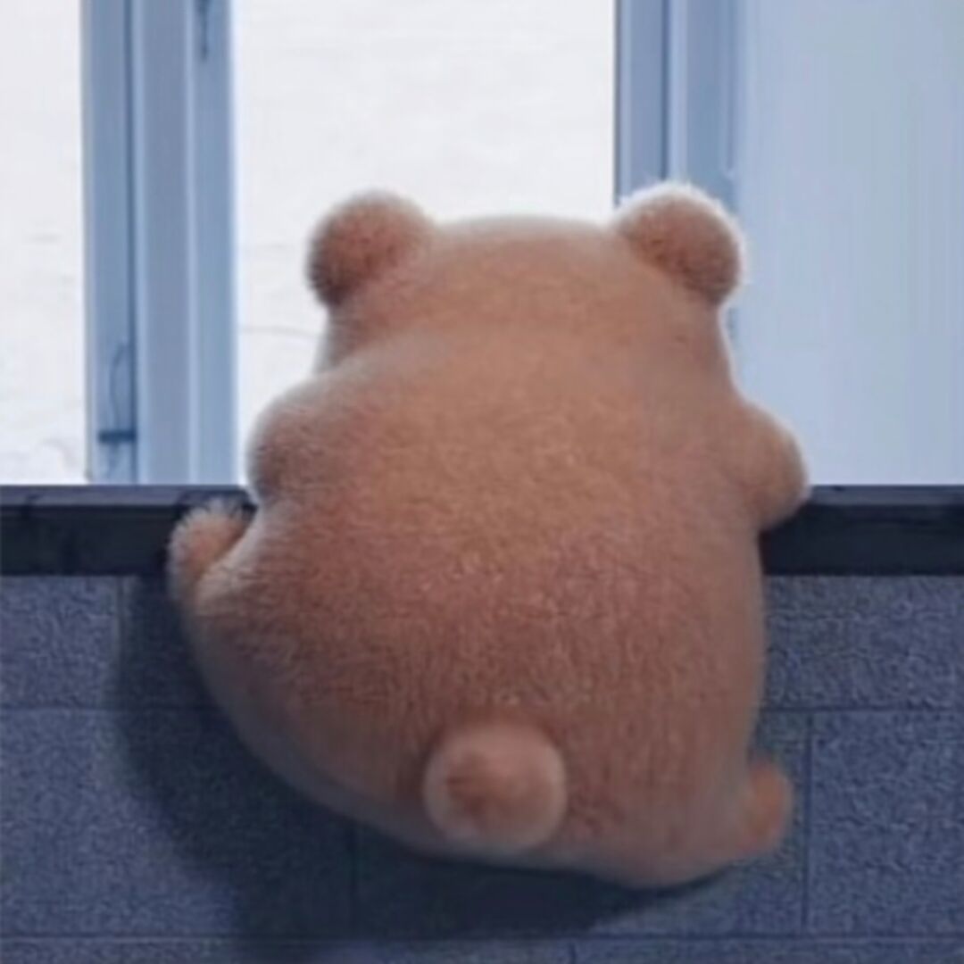 盯档猫在此尔等放