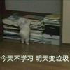 虹猫ღ