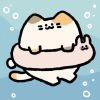 自适应猫猫