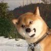 快乐划水怪