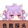 卷心菜125871