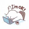 asdfghjkl098的头像-【TITAIKE】T太科网