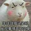 wangyang731的头像-魔酷网