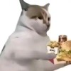 F—X