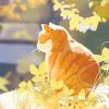魂牵梦绕て
