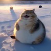 風の少年のよ