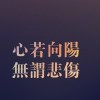 ゝ橙的头像-iPA资源站