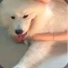 秋愈三千疾