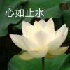 没死就是还活着