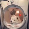 可问春风