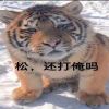 ssssss的头像-源码库