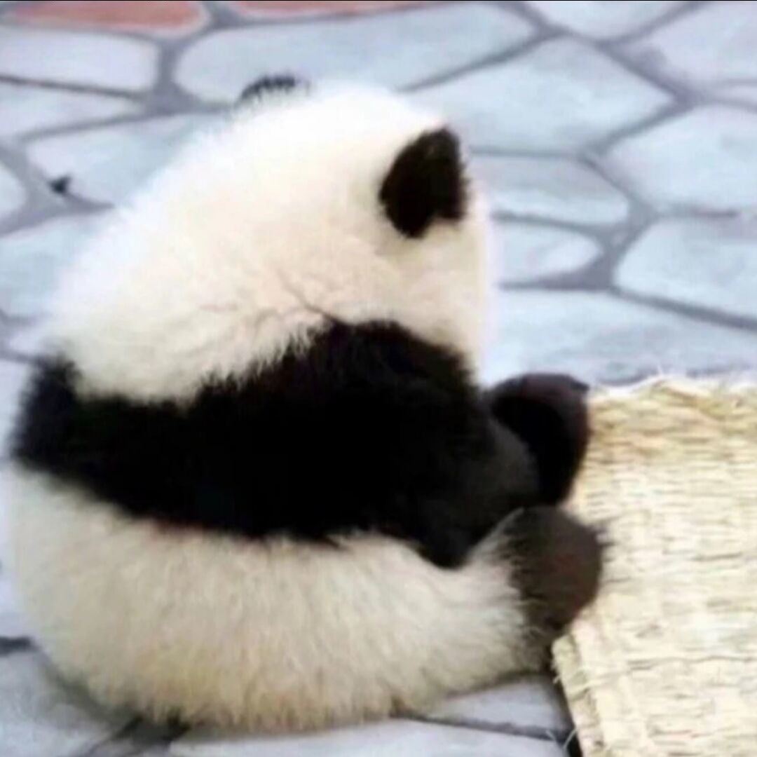 无敌的装