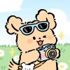 cheems_567