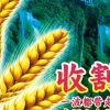 宇7922