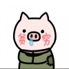 小朱.
