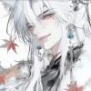 猫_230