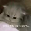 user76071917的头像-iPA资源站