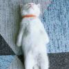 ᵕ̈ᴳᵒᵒᵈ