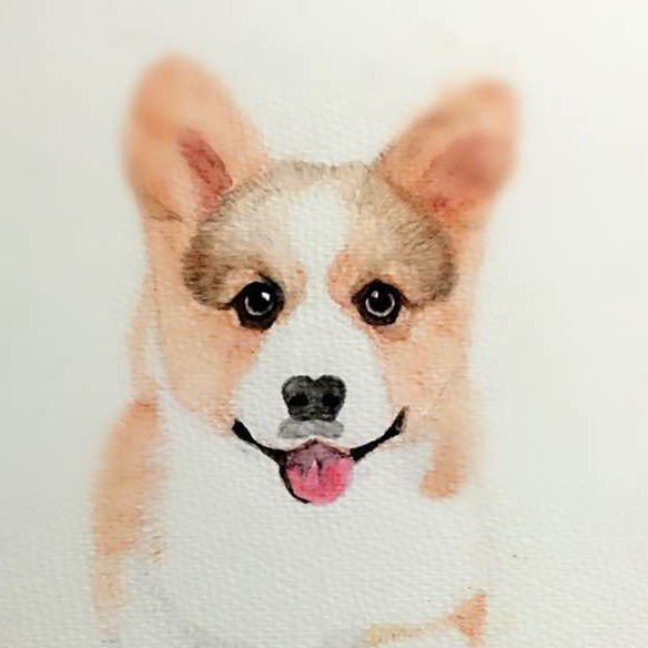 向阳生长
