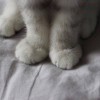 用户27916808的头像-iPA资源站