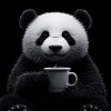 酷海鱼的头像-iPA资源站