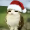 @Qq1182848349的头像-魔酷网